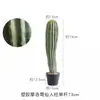 Cacto Artificial Planta Verde Decorativa em Vaso Biónica Tropical Desértica Pacote de Paisagismo Combinação Falso Cactus