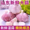 Cabezas de ajo morado recién cosechadas, ajo húmedo con múltiples dientes 5 kg Verduras de ajo encurtidas agridulces 2025 Lote de Shandong