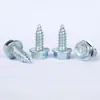 Tornillo Autorroscante Hexagonal de Cabeza Hexagonal con Brida Recesada de Zinc Azul y Blanco 6.3*19 Hecho a Medida No Estándar del Fabricante de Origen