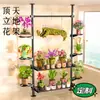 Soporte Personalizado de Macetas de Piso a Techo, Estante de Exhibición de Plantas de Interior de Múltiples Niveles para Sala de Estar, Soporte de Exhibición para Suculentas