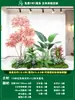 Paisagismo de Planta Artificial Varanda Arranjo de Paisagem Escada Interna Sob Árvore de Flores Artificiais Decoração Biomórfica Planta Verde Paisagismo Combinação