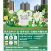 Decoraciones de Moda para Exteriores con Temática de Primavera para Team Building, Montaje de Ambiente, Salidas de Primavera, Campamentos de Verano, Tablero Kt y Fondo de Centro Comercial