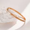 Pulsera de Acero Inoxidable para Mujer de Joyería Transfronteriza, No se Desvanece, Moderna, Lujo Ligero, de Nicho, Circonita Estrellada, Pulsera de Acero de Titanio para Mujer