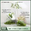 Musgo Artificial Plantas Verdes Paisagismo Interno Plantas Biônicas de Alta Qualidade Micro Paisagem Ornamentos Vitrine Montinhos de Musgo Artificial Combinação de Paisagem