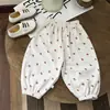 Calça Esportiva Infantil Veludo Calça Casual Calça Infantil Calça de Moletom Primavera e Outono Meninos e Meninas Solta Estilo Coreano Calça Harem Tendência Atacado