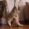 Botas de cowboy de punta fina, pantalones ajustados 2026 con plantillas interiores que aumentan la altura, tacones de cuña estilo western con estampado de leopardo para otoño/invierno, botas de 9 cm de altura