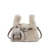 Bolso Pequeño Esponjoso de Lujo Ligero de Moda para Mujer 2026 Nuevo Modelo Bolso de Mano de Alta Gama Estilo Coreano Bolso para Viajar al Trabajo Bolso de Hombro Cruzado