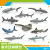 Mini modelo de simulação de vida marinha tubarão arraia peixe tartaruga golfinho orca atum modelo animal atacado
