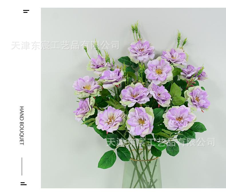 详情_06.jpg