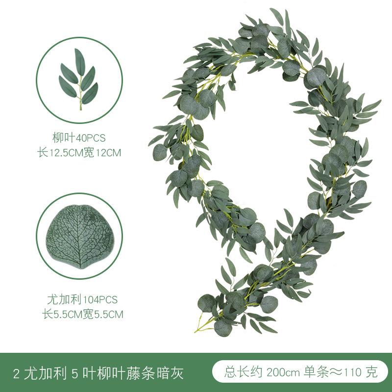 2米尤加力 5叶柳暗灰色.jpg