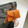 Bolso de Diseño Nicho Francés de Alta Gama para Mujer 2024 Verano Nueva Moda Cocodrilo Hombro Bandolera Pequeño Cuadrado