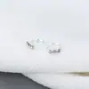 Pendientes de Plata de Ley 925 con Diamantes de Comercio Exterior para Mujer Moda Perforación Anillo de Nariz Transfronterizo Anillo de Nariz Simple de Gama Alta Joyería Europea y Americana