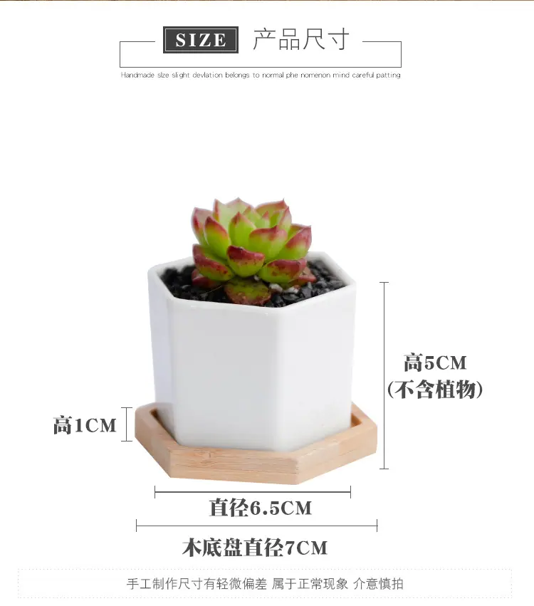 花盆18_05.jpg
