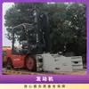 Fabricación Montacargas Diésel Longgong de 3 Toneladas Motor de Modelado Suave y Novedoso Buen Rendimiento