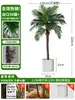Grande Palmeira Areca Simulada Planta Tropical Coqueiro Planta Verde Biônica de Interior Árvore Falsa Atmosfera Paisagismo Ornamentos em Vaso