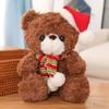 Oso de Peluche con Gorro de Doctor Oso de Peluche Oso de Peluche Oso de Graduación Muñeco de Oso de Graduación Temporada de Graduación Muñeco de Regalo de Navidad