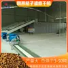 Secador de Casca de Laranja com Correia de Malha, Secador Totalmente Automático de Casca de Limão, Secador Contínuo de Casca de Laranja