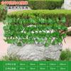 Simulação Cerca Cerca retrátil Flores Falsas Folhas Verdes Pátio ao ar livre Cerca Cerca Cerca Decorativo Folhas Sombra Plantas