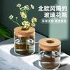Botella Ecológica Hidropónica Personalizada para Plantas con Tapa, Rábano Verde Flor de Agua Decoración de Mesa, Micro Paisaje Vidrio Jarrón Pequeño