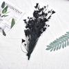 Fabricante Venta al por Mayor DIY Pluma Negra Manualidad Decoración Pluma Boda Pluma Alas de Ángel Accesorios de Ropa