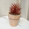 Simulación de plantas carnosas decorativas para el hogar, arreglos de mesa, pequeños adornos, plantas carnosas en maceta, suministro transfronterizo, flores de simulación