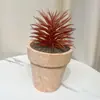 Plantas Suculentas Simuladas de Ladrillo Rojo Dongmang en Maceta para Decoración de Interiores del Hogar, Decoraciones de Escritorio de Oficina, Múltiples Opciones Disponibles Directamente del Fabricante