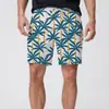 Venda Direta de Fábrica Calças de Cinco Pontos Impressas em 3D Calças Havaianas de Praia Masculinas Shorts para Férias na Beira-Mar Venda Quente Transfronteiriça Novo Estilo