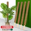 Poste Trepador Pothos Poste Trepador Pothos Soporte Fijo para Planta Soporte Fijo de Palo de Fibra de Coco Soporte de Flor con Forma