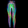 Europa y Estados Unidos transfronterizos nuevos mallas reflectantes coloridas de piel de serpiente para mujer fitness deportes cadera elástica pantalones casuales leggings