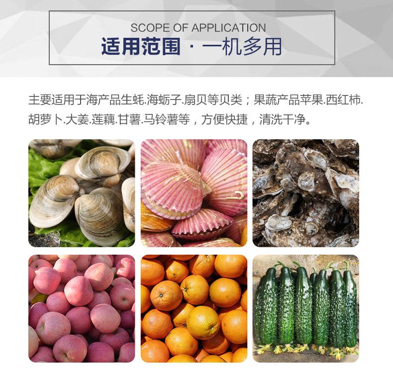 平行毛辊清洗机_03