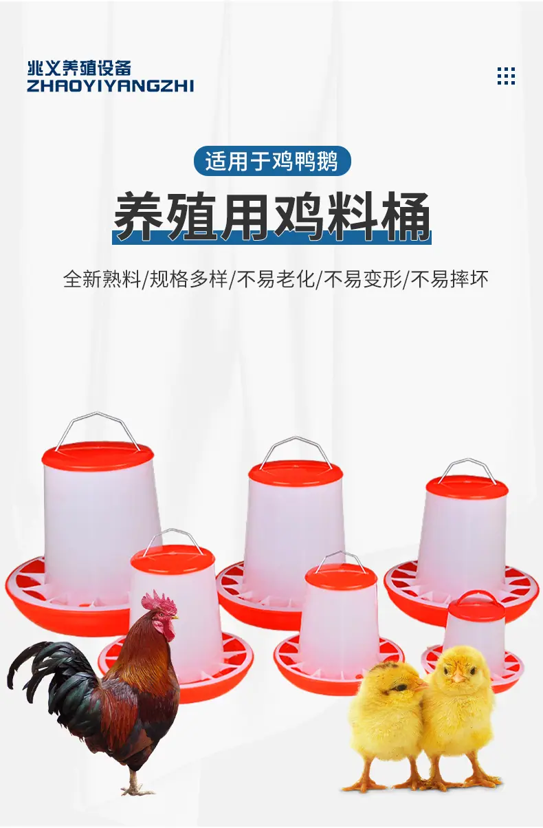 详情_02.jpg