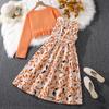 Traje de Ropa Infantil para Niñas de Comercio Exterior Otoño Nuevo Transfronterizo INS Estilo Extranjero Estampado Vestido Infantil Chaqueta de Manga Larga