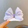 Grampo de Cabelo Infantil Acessórios de Cabelo Tridimensionais para Meninas Coreanas Grampo Superior Doce para Menininhas Adereço de Cabeça Grampo de Uma Palavra não machuca o cabelo