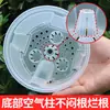 Macetas de Plástico para Uso Doméstico, Macetas con Almacenamiento de Agua, Macetas Transpirables que Controlan las Raíces, Macetas Blancas Transparentes para Flores Phalaenopsis, Macetas de Autorriego