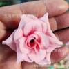 Rosa Enrolada Simulada Rosa de Seda Flor de Seda Bola Guirlanda Arco Arranjo de Flores Decoração de Casamento Suprimentos
