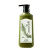 Champú Anticaspa Genuino con Ácido Salicílico Disulfuro, Control de Grasa, Fragancia, Voluminoso, Antipurito, Refrescante, Mejora los Folículos Capilares, Mayoreo