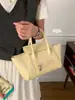 Bolso de Mano Texturizado de Moda Primavera para Mujer 2026 Nuevo Bolso Simple de Ala Bolso Tote Pequeño Versátil Venta al por Mayor
