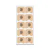 Dilatador Nasal Magnético Externo Transfronterizo para Respiración Nasal Dispositivo Antirronquidos Antirronquidos Ronquidos Ventilación Parche Nasal para Adultos Universal