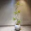 Planta Verde Artificial de Nandina para Decoración de Sala de Estar Interior Árbol Falso Grande en Maceta de Piso Flor Decoración de Sala de Estar