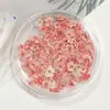 Arte de Uñas Japonés Color Absorbente Pequeño Floral Flor Seca Flor Prensada DIY Material de Arte Floral Influencer Arte de Uñas Material Floral Resina Epoxi Joyería Flor