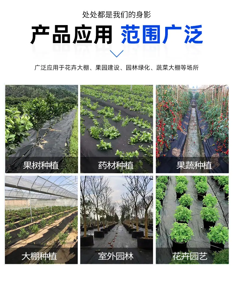 详情_09.jpg