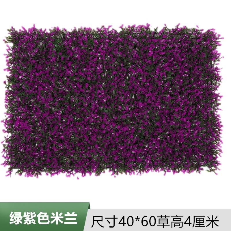绿紫色米兰.jpg