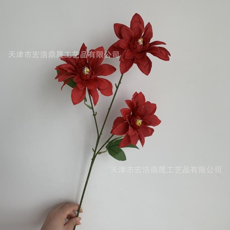 微信图片_20230811172725_副本