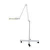 Lámpara LED para Tatuajes Lámpara de Belleza de Pie Especial para Salón de Belleza Luz Fría Sin Sombras Súper Brillante Rostro Manicura Pestañas Tatuaje de Cejas