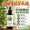 Solución nutritiva especial para Bodhi Xiao Pan para promover el enraizamiento, fortalecer las plántulas, prevenir el amarillamiento de las hojas, la caída de hojas, la caída de frutos, la falta de fructificación, la pudrición de raíces, el marchitamiento, la dificultad de cultivo