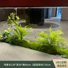 Combinación de plantas verdes artificiales tira larga paisajismo rincón de entrada interior jardinera adorno de planta centro comercial ventana musgo ornamental