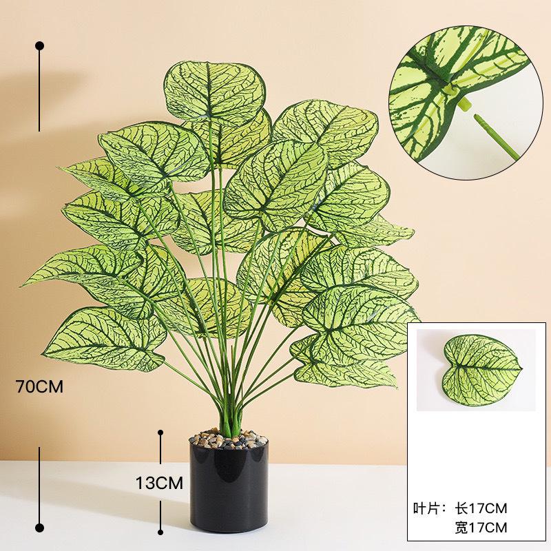 6cda29bc-f1ad-4493-b060-9b9b168ce045.jpe