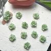 Joias de Arte para Unhas Camélia Rosa Tie-Dye Verde Claro Flor Macia Tridimensional Luminosa Acessórios Brincos Mix