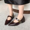 Zapatos de Tacón Grueso Punta Afilada Mujer 2025 Nuevo Elegante Moderno Combinable Nicho Francés Mary Jane Zapatos de Mujer