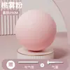 Pelota de Yoga de 25 cm Pelota Pequeña Entrenamiento de Pilates Músculos del Suelo Pélvico Fitness Core Equipo de Yoga Engrosada Antiexplosión Deportiva